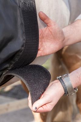 Show full view: LeMieux Anti Rub Bib Horse Turnout, Black, Large slide 6 of 6