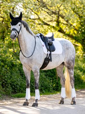 Show full view: LeMieux 3D Mesh Self-Cool Dressage Square Horse Saddle Pad, White, Small/Medium slide 2 of 2