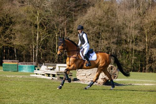 Show full view: LeMieux 3D Mesh Self-Cool Eurojump Square Horse Saddle Pad, White, Small/Medium slide 4 of 5
