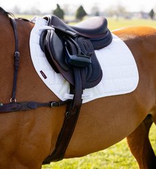 LeMieux 3D Mesh Self-Cool Eurojump Square Horse Saddle Pad, White, Small/Medium slide 2 of 5