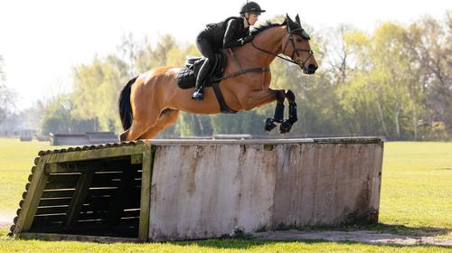 Show full view: LeMieux 3D Mesh Self-Cool Eurojump Square Horse Saddle Pad, Black, Small/Medium slide 4 of 5