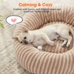 Show in main carousel: Invenho Dog & Cat Bed with Washable Removable Cover, Beige, 23 x 23 x 8-in slide 3 of 6
