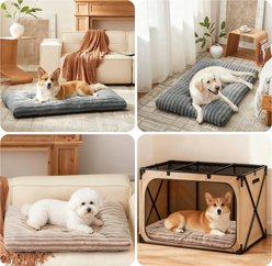 JOEJOY Teddy Rabbit Fur Strips Anti-Slip Bottom Dog & Cat Bed pad with Removable Cover, Beige, 29 × 21 × 3-in slide 2 of 8