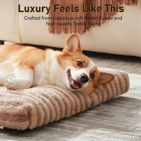 Show full view: JOEJOY Teddy Rabbit Fur Strips Anti-Slip Bottom Dog & Cat Bed pad with Removable Cover, Beige, 29 × 21 × 3-in slide 5 of 8