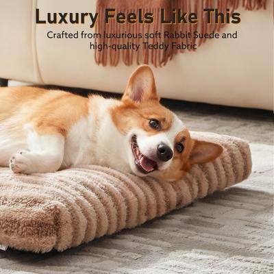 Show full view: JOEJOY Teddy Rabbit Fur Strips Anti-Slip Bottom Dog & Cat Bed pad with Removable Cover, Beige, 29 × 21 × 3-in slide 5 of 9