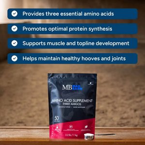 Mad Barn Three Amigos Essential Amino Acid Topline & Muscles Horse Powder Supplement, 2.2-lb bag