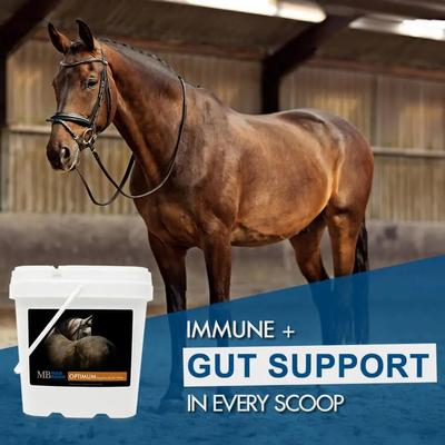 Show full view: Mad Barn Optimum Digestive Health Probiotic & Prebiotic Horse Pellet Supplement, 11-lb bucket slide 4 of 5