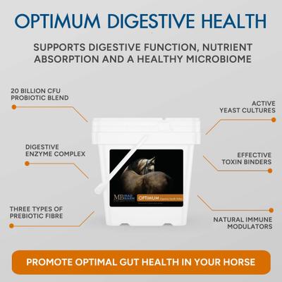 Show full view: Mad Barn Optimum Digestive Health Probiotic & Prebiotic Horse Pellet Supplement, 11-lb bucket slide 3 of 5
