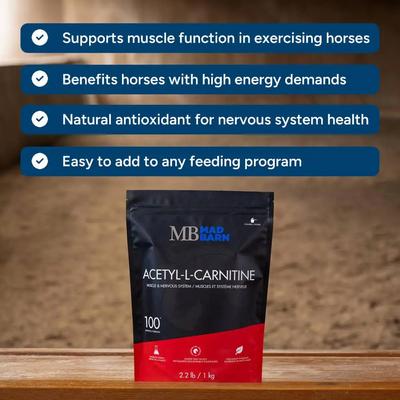 Show full view: Mad Barn Acteyl-L-Carnitine Performance & Energy Metabolism Horse Powder Supplement, 2.2-lb bag slide 4 of 4