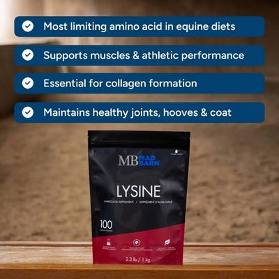 Show full view: Mad Barn L-Lysine Pure Amino Acid Horse Powder Supplement, 2.2-lb bag slide 3 of 3