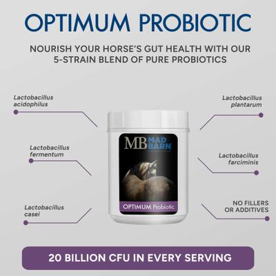 Show full view: Mad Barn Optimum Probiotic 20 Billion CFU Probiotic Horse Powder Supplement, 60-g pouch slide 3 of 3