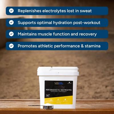 Show full view: Mad Barn Performance XL Electrolytes Hydration & Exercise Recovery Horse Powdered Supplement, 11-lb bucket slide 4 of 5