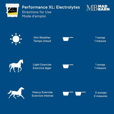 Show full view: Mad Barn Performance XL Electrolytes Hydration & Exercise Recovery Horse Powdered Supplement, 11-lb bucket slide 5 of 5