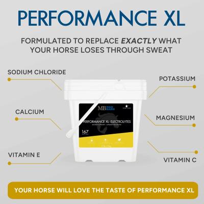 Show full view: Mad Barn Performance XL Electrolytes Hydration & Exercise Recovery Horse Powdered Supplement, 11-lb bucket slide 3 of 5