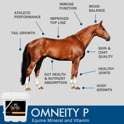 Show full view: Mad Barn Omneity Pellets Vitamin & Mineral Horse Supplement, 44-lb bag slide 3 of 7