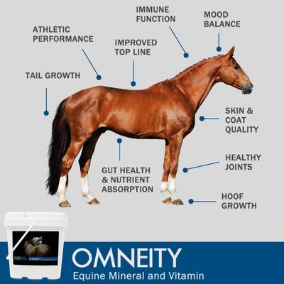 Show full view: Mad Barn Omneity Premix Vitamin & Mineral Horse Supplement, 11-lb bucket slide 3 of 5