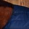 Show in main carousel: WeatherBeeta ComFiTec 100G Horse Liner, Navy, 60-in slide 3 of 6