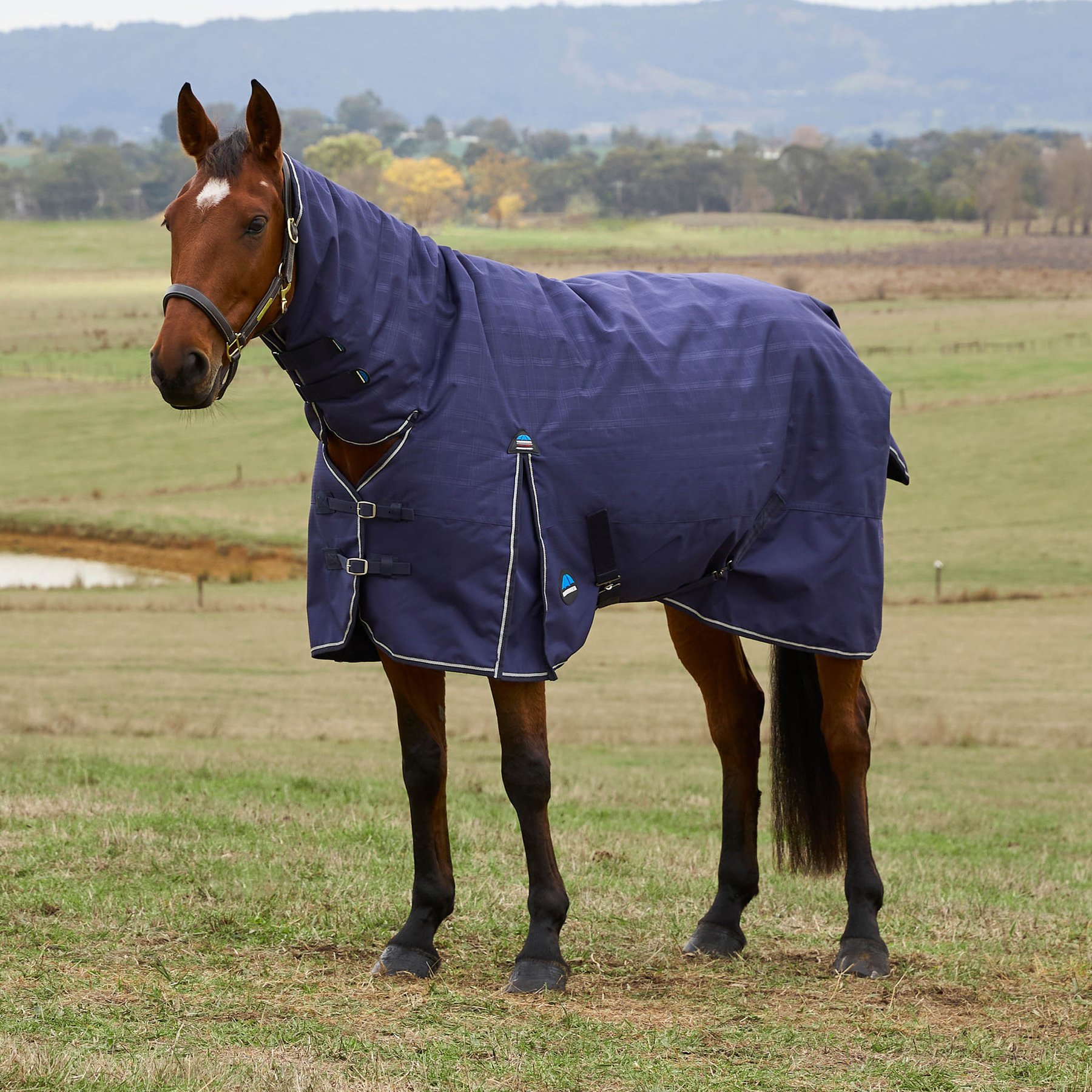 WeatherBeeta ComFiTec Prelim Combo Neck 0G Horse Turnout, Navy Embossed Plaid, 60-in