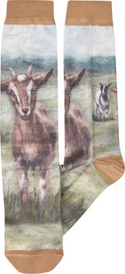 Show full view: Primitives By Kathy Goat Socks, Multicolor slide 3 of 4