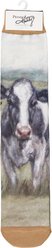 Primitives By Kathy Dairy Cows Socks, Multicolor
