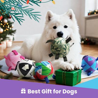 Show full view: Nocciola Nebula Soccer Interactive Durable Tug & Fetch Squeaky Ball Dog Toy, Galaxy Blue & Purple, Medium: 6-in slide 6 of 6