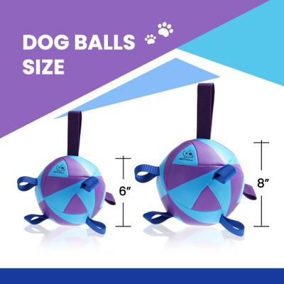 Show full view: Nocciola Nebula Soccer Interactive Durable Tug & Fetch Squeaky Ball Dog Toy, Galaxy Blue & Purple, Medium: 6-in slide 3 of 6