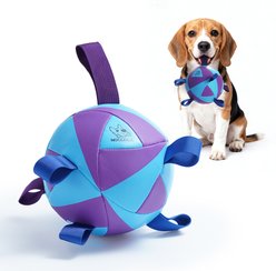 Nocciola Nebula Soccer Interactive Durable Tug & Fetch Squeaky Ball Dog Toy, Galaxy Blue & Purple, Medium: 6-in