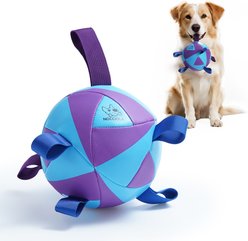 Nocciola Nebula Soccer Interactive Durable Tug & Fetch Squeaky Ball Dog Toy, Galaxy Blue & Purple, Large: 8-in