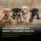 Show in main carousel: Diamond Puppy All Life Stages 31/20 for Puppies, Pregnant & Nursing Dogs Dry Food, 20-lb bag slide 7 of 11