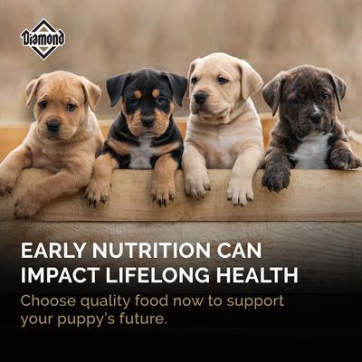 Diamond Puppy Formula Dry Dog Food