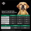 Show in main carousel: Diamond Premium Formula All Lifestages Dry Dog Food, 40-lb bag slide 9 of 13