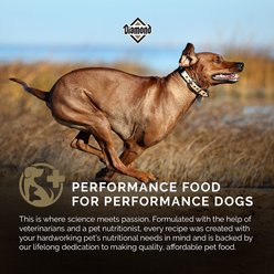 Diamond High Energy 24/20 for Highly Active, Sporting & Working Adult Dogs Dry Food, 50-lb bag slide 2 of 8