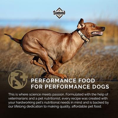 Show full view: Diamond High Energy 24/20 for Highly Active, Sporting & Working Adult Dogs Dry Food, 50-lb bag slide 5 of 10