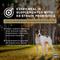 Show in main carousel: Diamond Premium All Life Stages 26/18 for Active, Athletic & Sporting Dogs Dry Food, 40-lb bag slide 8 of 11