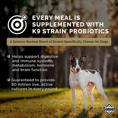 Show full view: Diamond Premium All Life Stages 26/18 for Active, Athletic & Sporting Dogs Dry Food, 40-lb bag slide 8 of 11