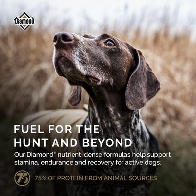 Show full view: Diamond Premium All Life Stages 26/18 for Active, Athletic & Sporting Dogs Dry Food, 40-lb bag slide 7 of 11