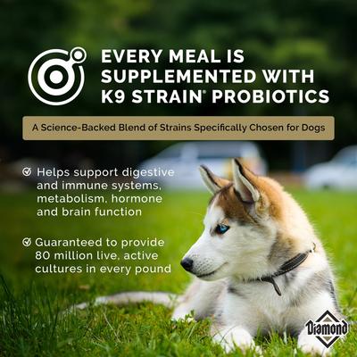 Diamond Puppy Formula Dry Dog Food