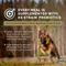 Show in main carousel: Diamond High Energy 24/20 for Highly Active, Sporting & Working Adult Dogs Dry Food, 50-lb bag slide 7 of 10