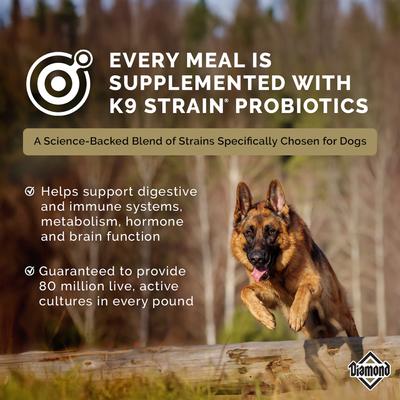 Show full view: Diamond High Energy 24/20 for Highly Active, Sporting & Working Adult Dogs Dry Food, 50-lb bag slide 7 of 10