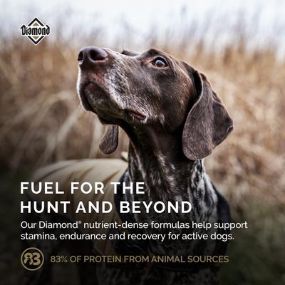 Show full view: Diamond Performance All Life Stages 30/20 for Highly Active, Hard Working & Athletic Dogs Dry Food, 40-lb bag slide 7 of 11