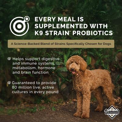 Show full view: Diamond Maintenance 22/12 for Moderately Active Adult Dogs Dry Food, 40-lb bag slide 7 of 10