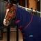 Show in main carousel: WeatherBeeta Anti-Static Fleece Combo Neck Horse Cooler, Navy/Burgundy, 75-in slide 2 of 8