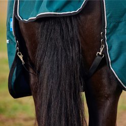 WeatherBeeta ComFiTec Classic Standard Neck 0G Horse Turnout, Forest Green/Black, 75-in slide 2 of 9