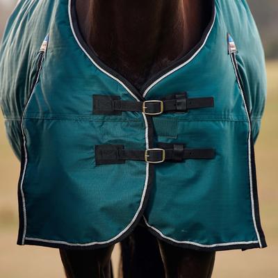 Show full view: WeatherBeeta ComFiTec Classic Standard Neck 0G Horse Turnout, Forest Green/Black, 75-in slide 4 of 9