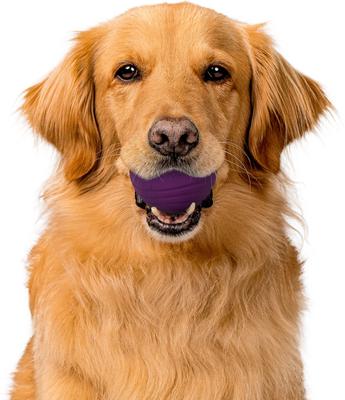 Show full view: Playology Bacon Scented Dual Layer Ball Dog Toy, Jumbo slide 4 of 9