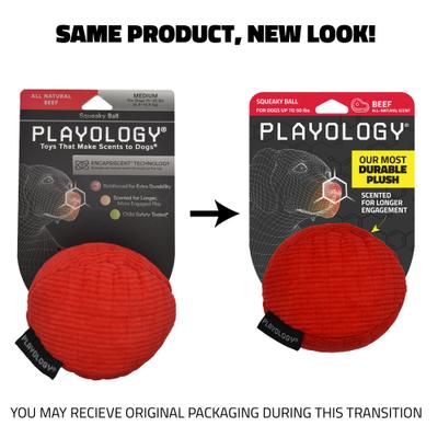Show full view: Playology Beef Scented Squeaky Ball Plush Dog Toy, Medium slide 2 of 8