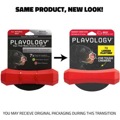 Show full view: Playology Beef Scented Squeaky Chew Stick Dog Toy, Medium slide 2 of 10