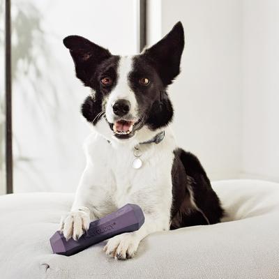 Show full view: Playology Bacon Scented Squeaky Chew Stick Dog Toy, Jumbo slide 3 of 9