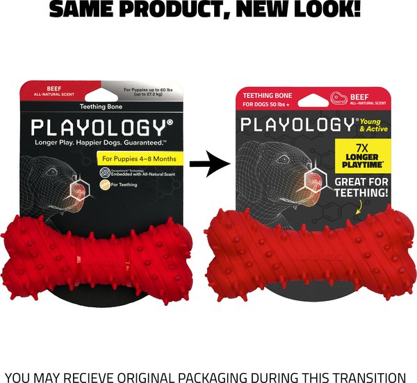 Show full view: Playology Beef Scented Young & Active Teething Bone Dog Toy, Jumbo slide 2 of 10