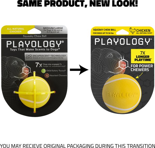 Show full view: Playology Chicken Scented Squeaky Chew Ball Dog Toy, Medium slide 2 of 9